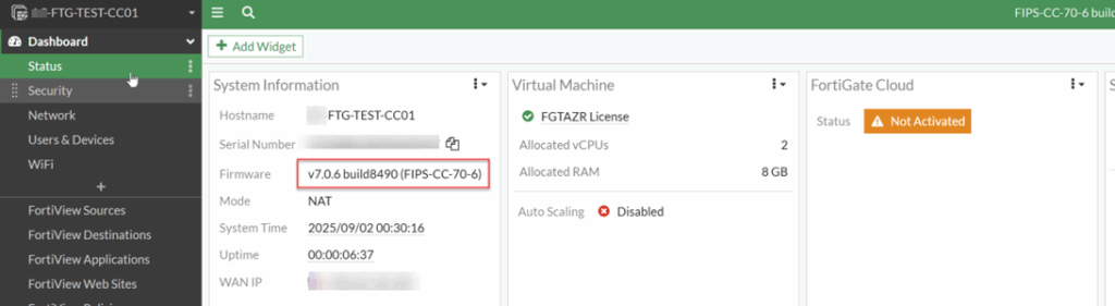 check firmware status